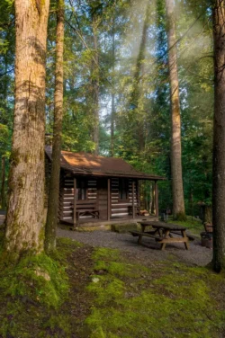 Log cabin campsite at Holly River State Park surrounded by tall trees and morning light