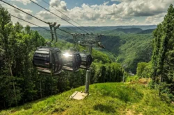 Aerial gondola cabins traveling over forested mountain landscape